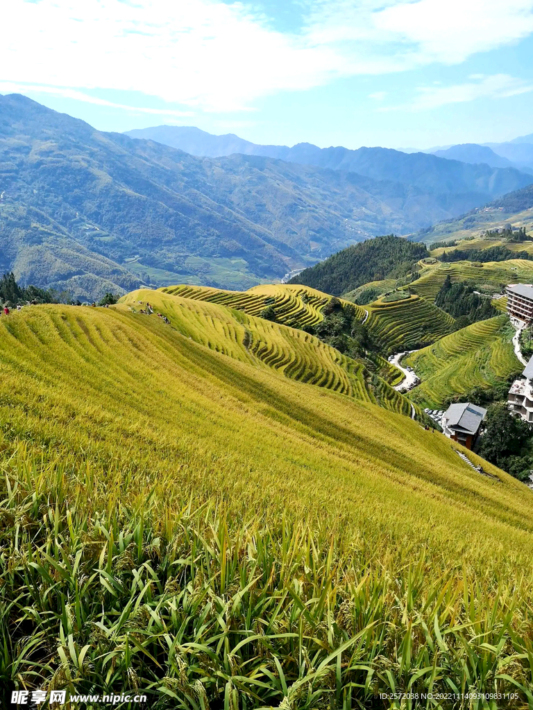 龙胜龙脊梯田风光