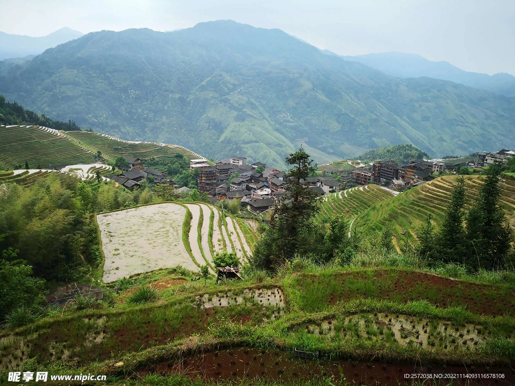 龙胜龙脊梯田风光