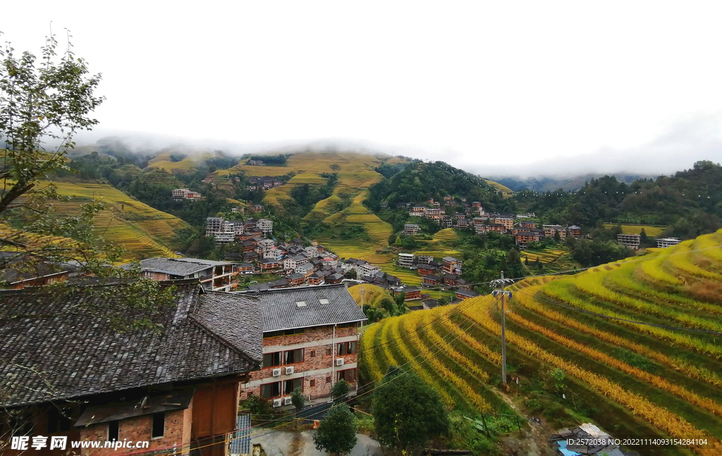 龙胜龙脊梯田风光