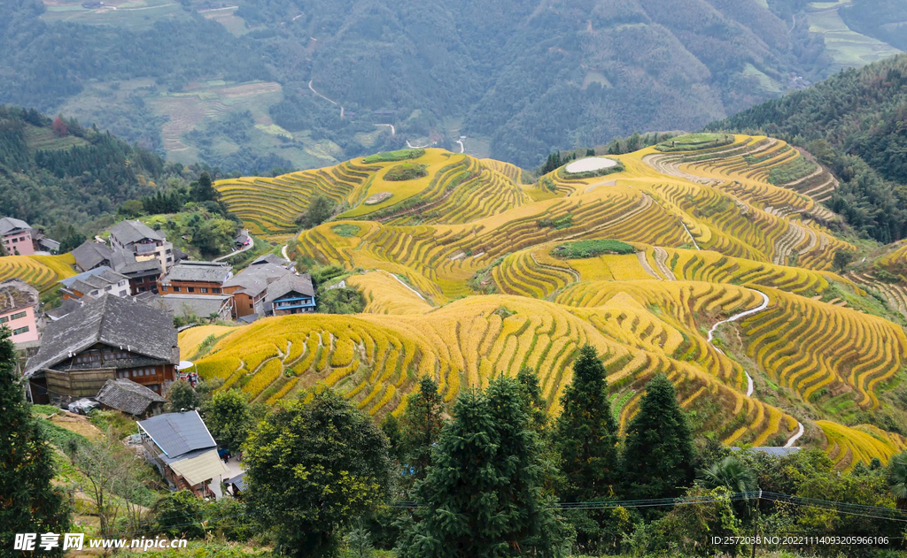 龙胜龙脊梯田风光