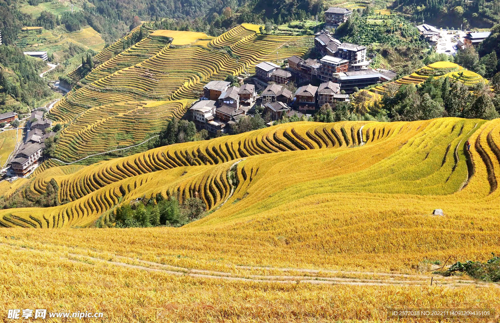 龙胜龙脊梯田风光