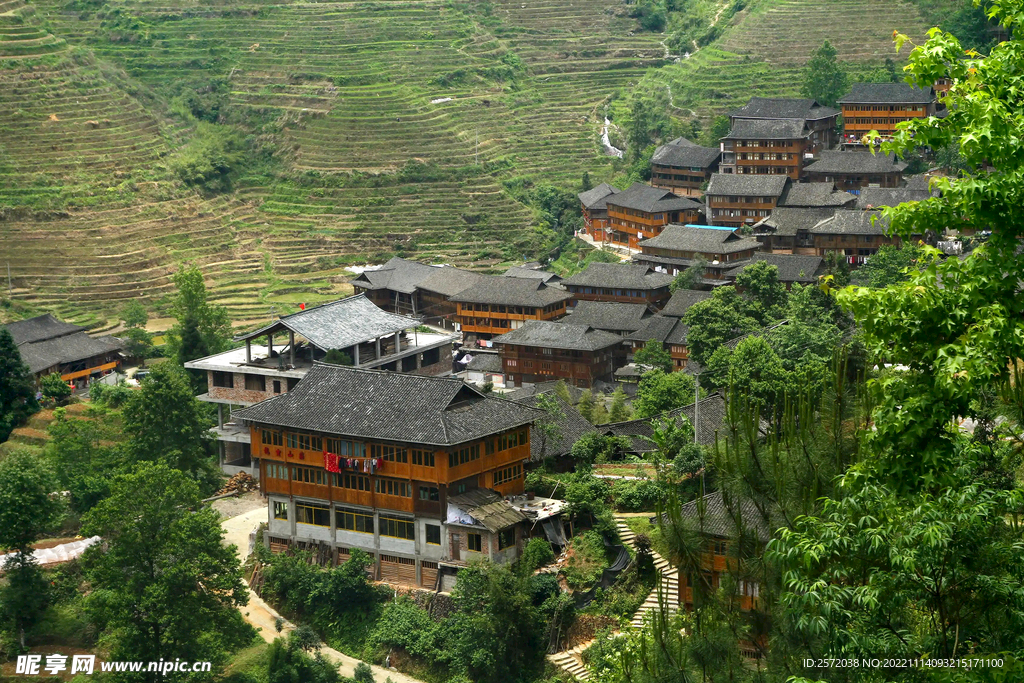 龙胜龙脊梯田风光