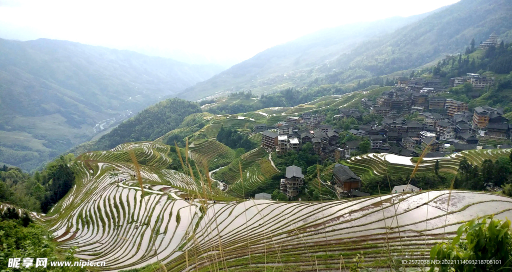 龙胜龙脊梯田风光