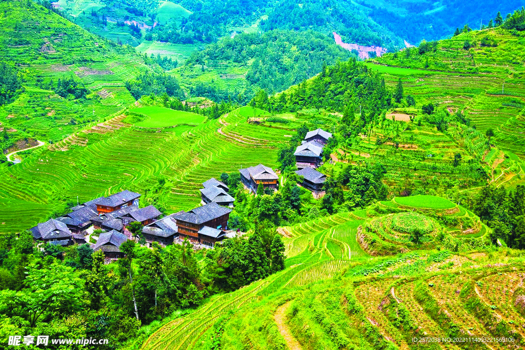 龙胜龙脊梯田风光