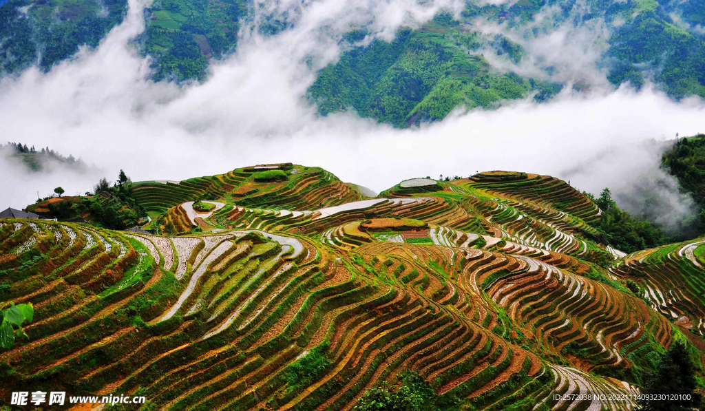 龙胜龙脊梯田风光