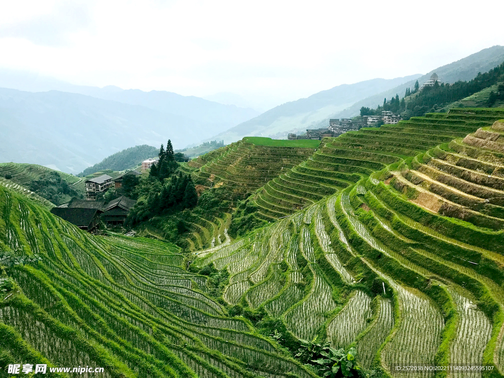 龙胜龙脊梯田风光