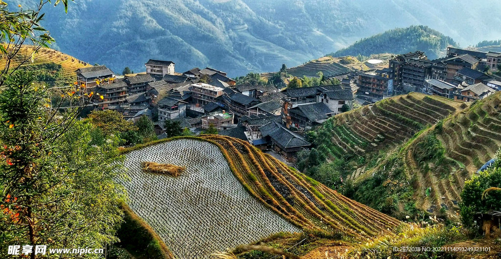 龙胜龙脊梯田风光