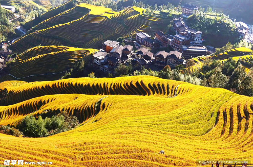 龙胜龙脊梯田风光