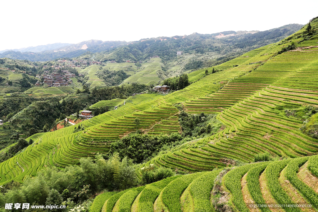 龙胜龙脊梯田风光