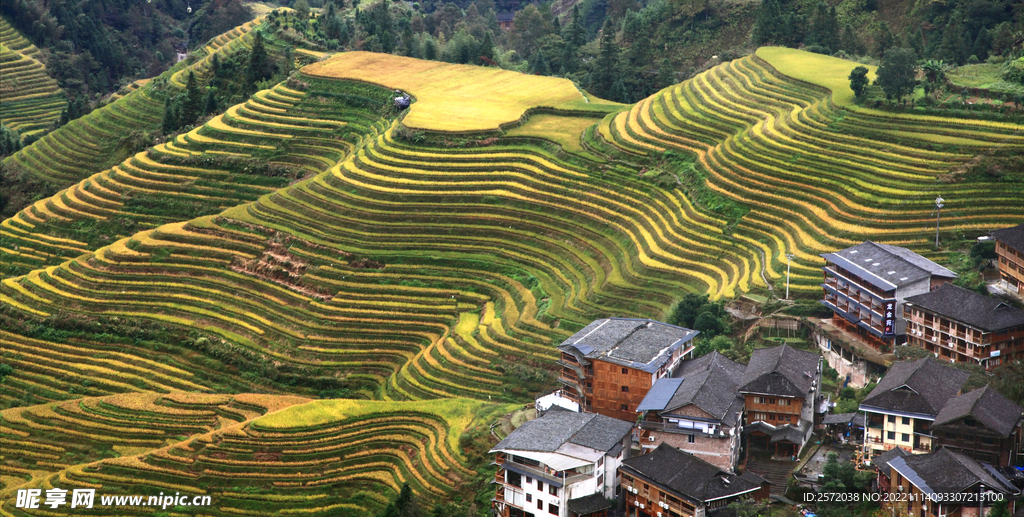 龙胜龙脊梯田风光