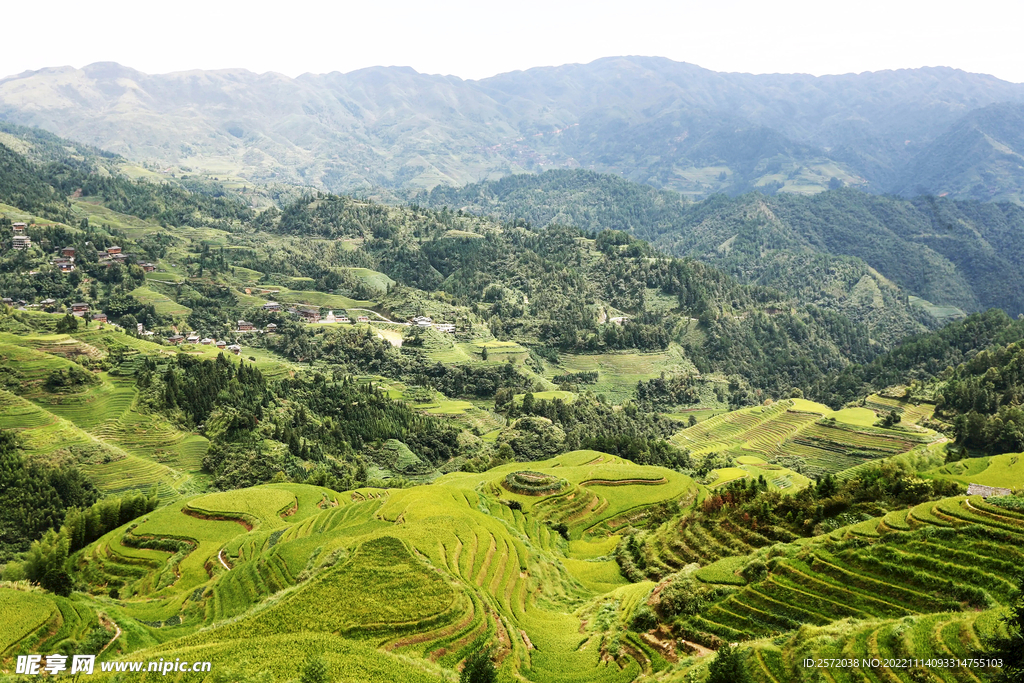 龙胜龙脊梯田风光