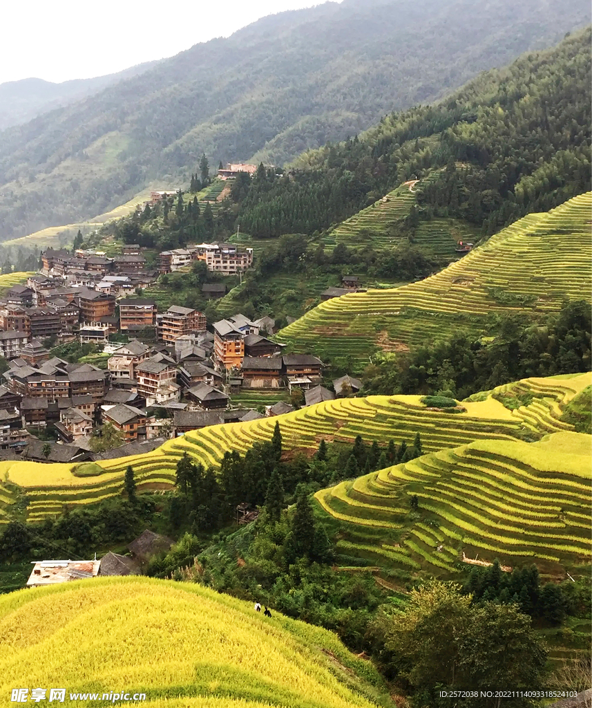 龙胜龙脊梯田风光