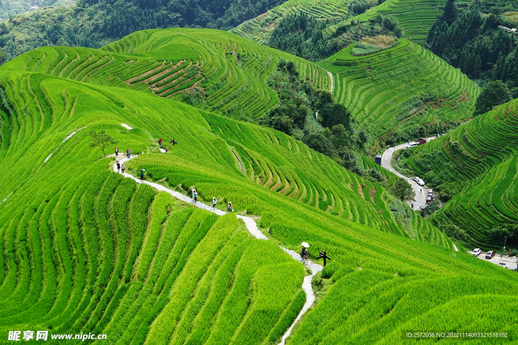 龙胜龙脊梯田风光
