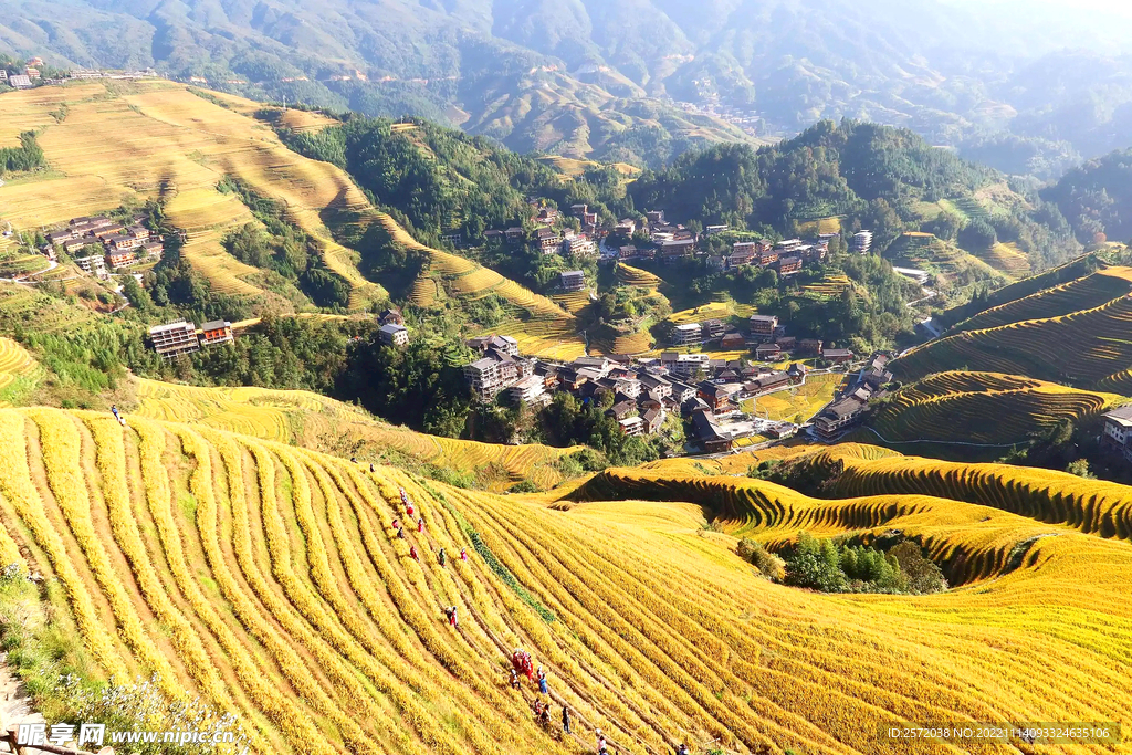 龙胜龙脊梯田风光