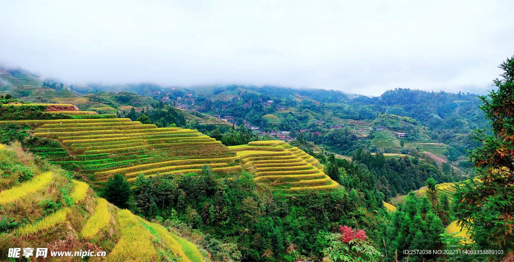 龙胜龙脊梯田风光