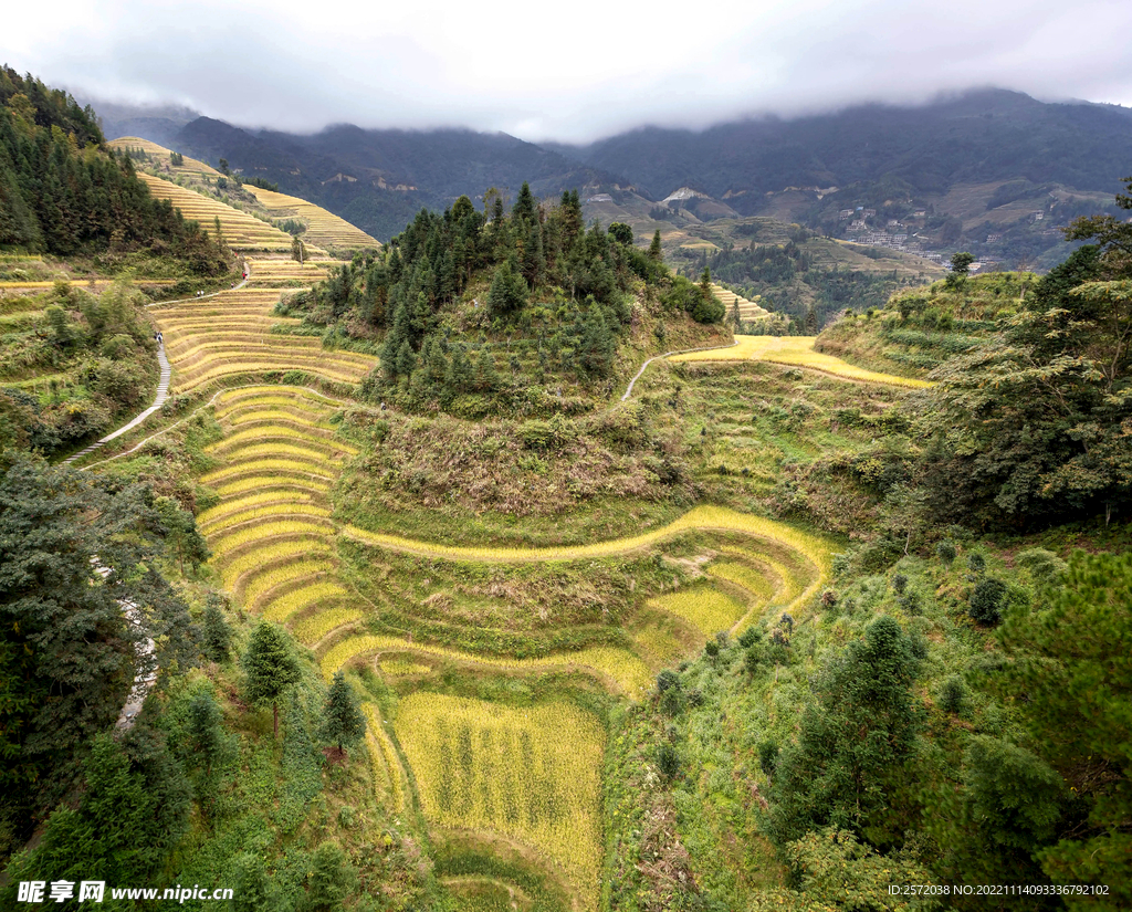 龙胜龙脊梯田风光