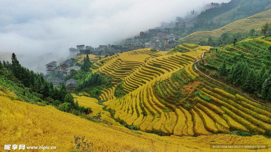 龙胜龙脊梯田风光