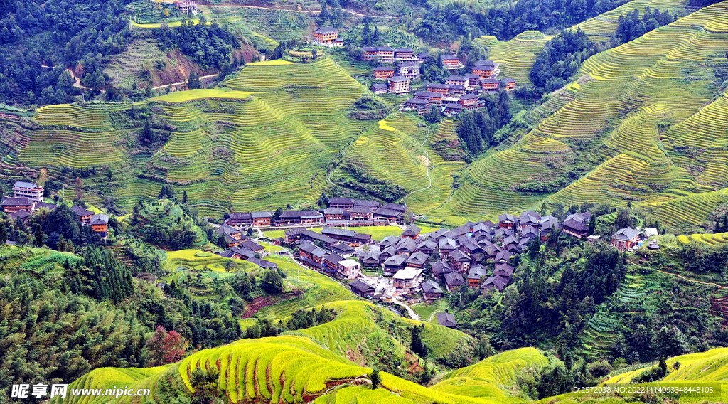 龙胜龙脊梯田风光