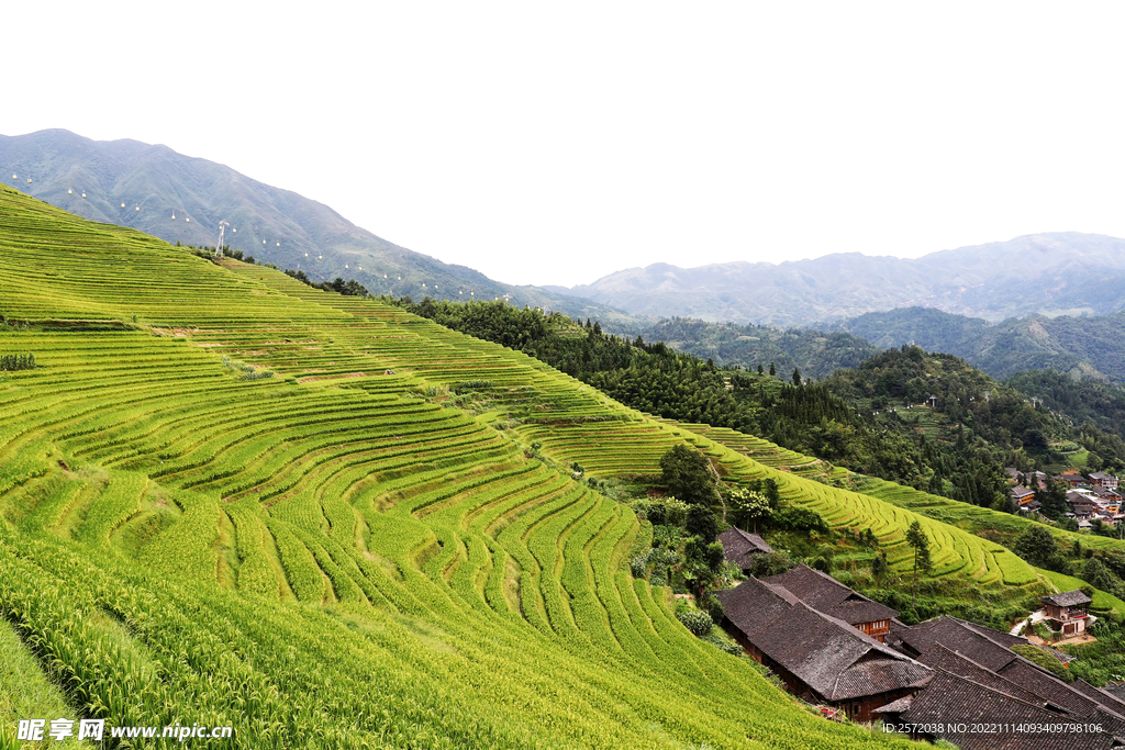 龙胜龙脊梯田风光