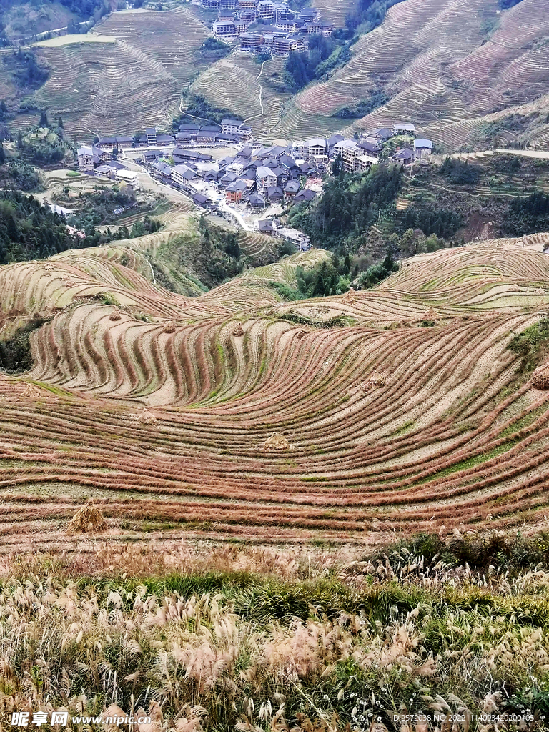 龙胜龙脊梯田风光