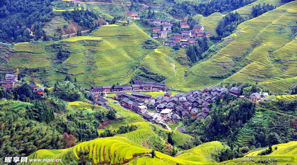 龙胜龙脊梯田风光