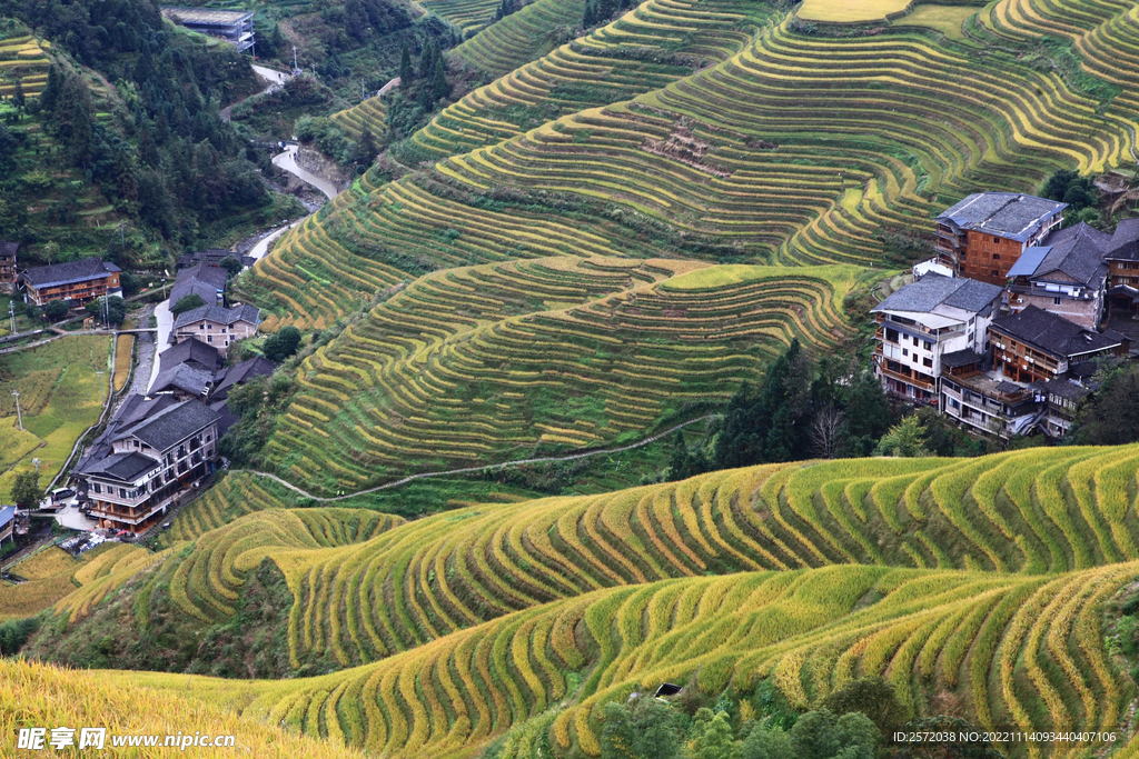 龙胜龙脊梯田风光