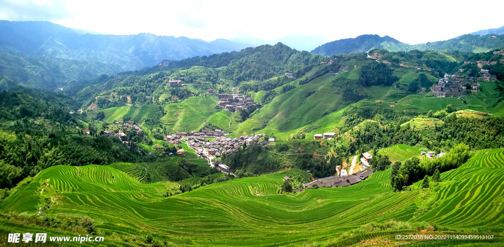 龙胜龙脊梯田风光