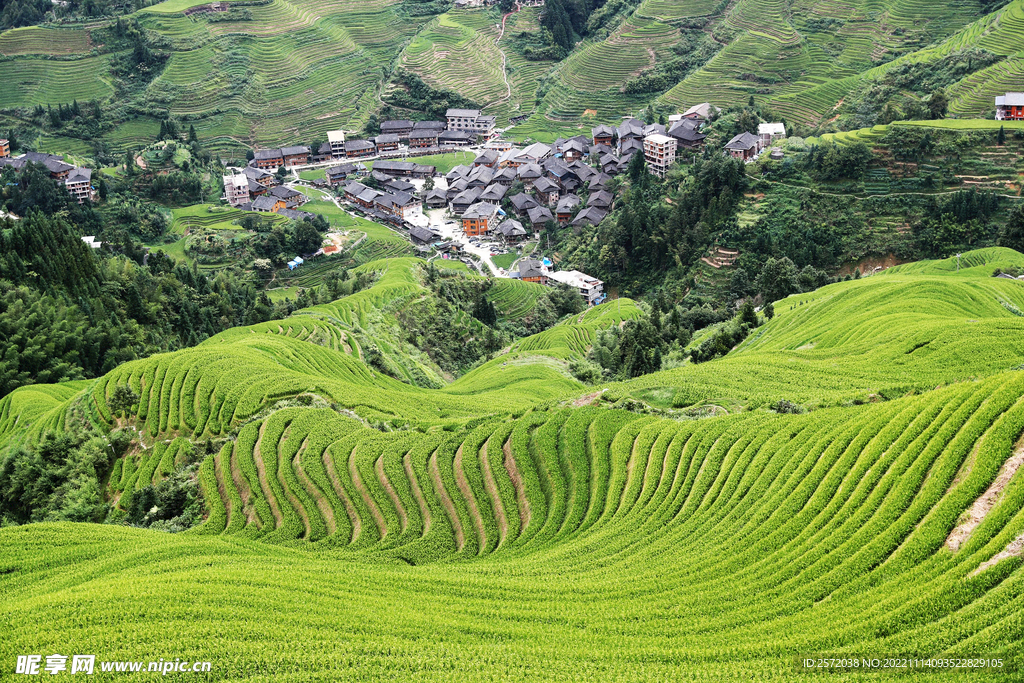 龙胜龙脊梯田风光