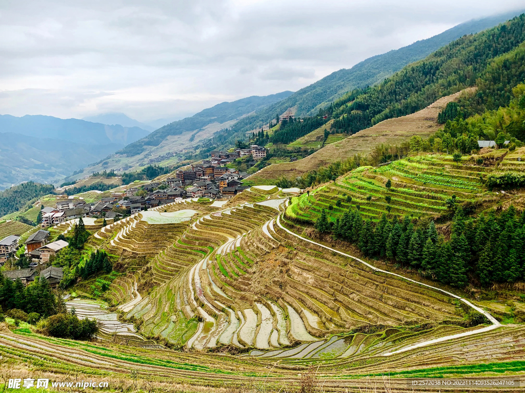 龙胜龙脊梯田风光