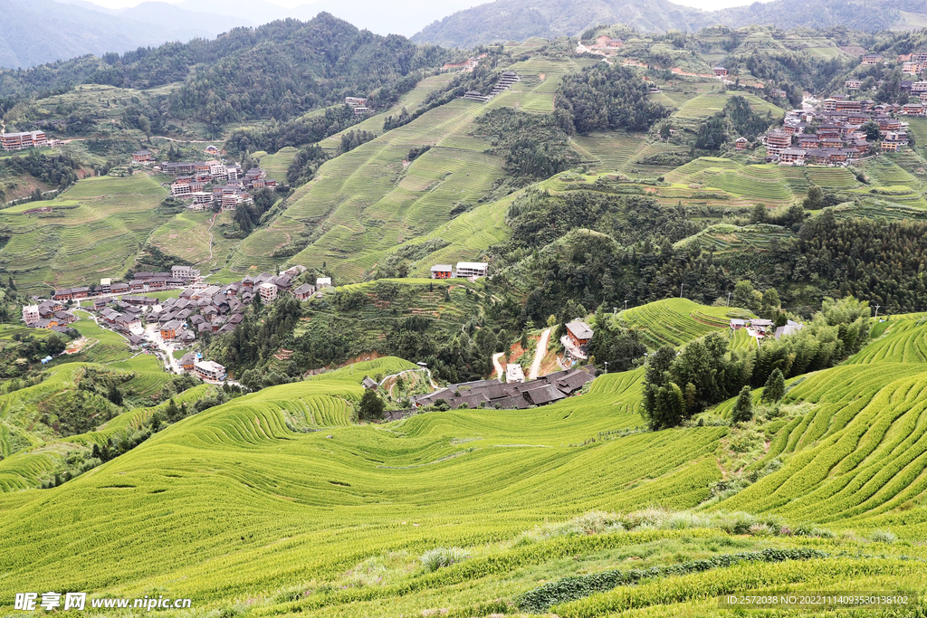 龙胜龙脊梯田风光