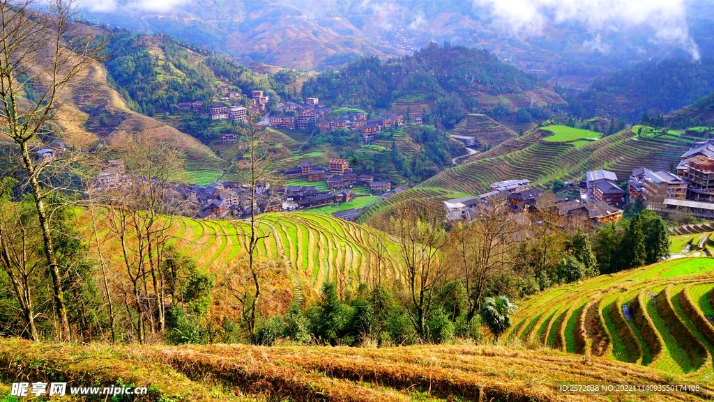 龙胜龙脊梯田风光