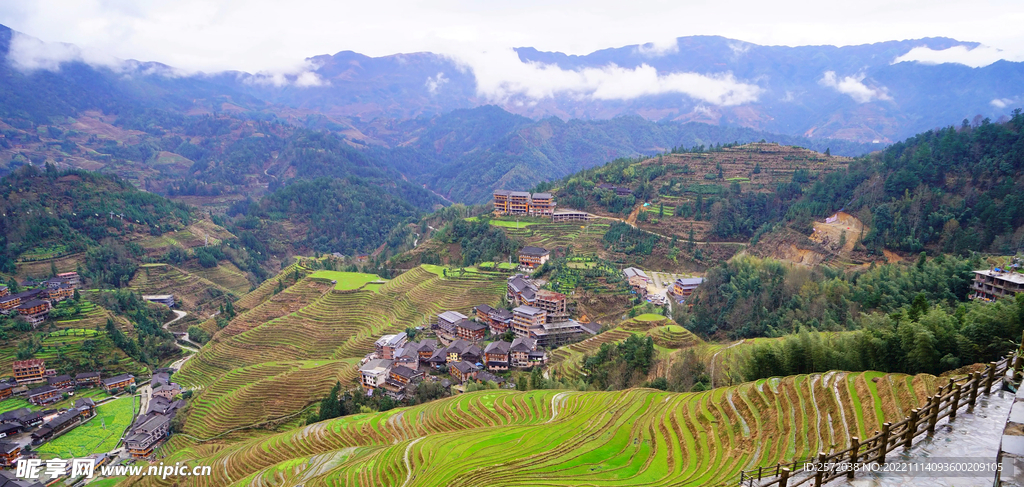 龙胜龙脊梯田风光