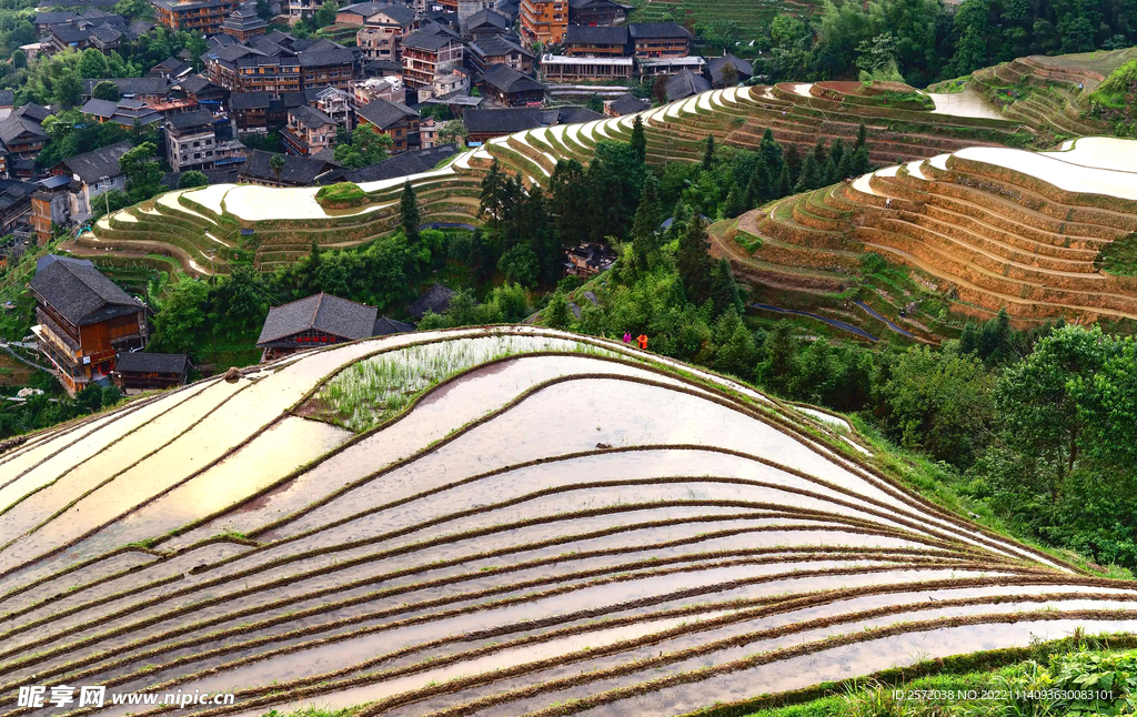 龙胜龙脊梯田风光