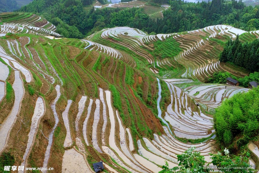 龙胜龙脊梯田风光
