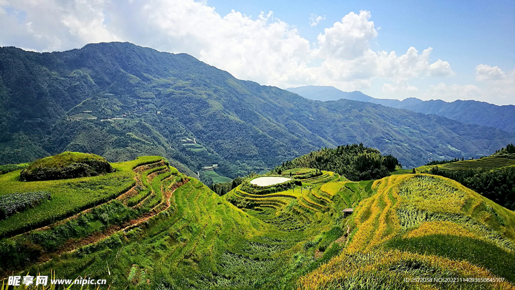 龙胜龙脊梯田风光