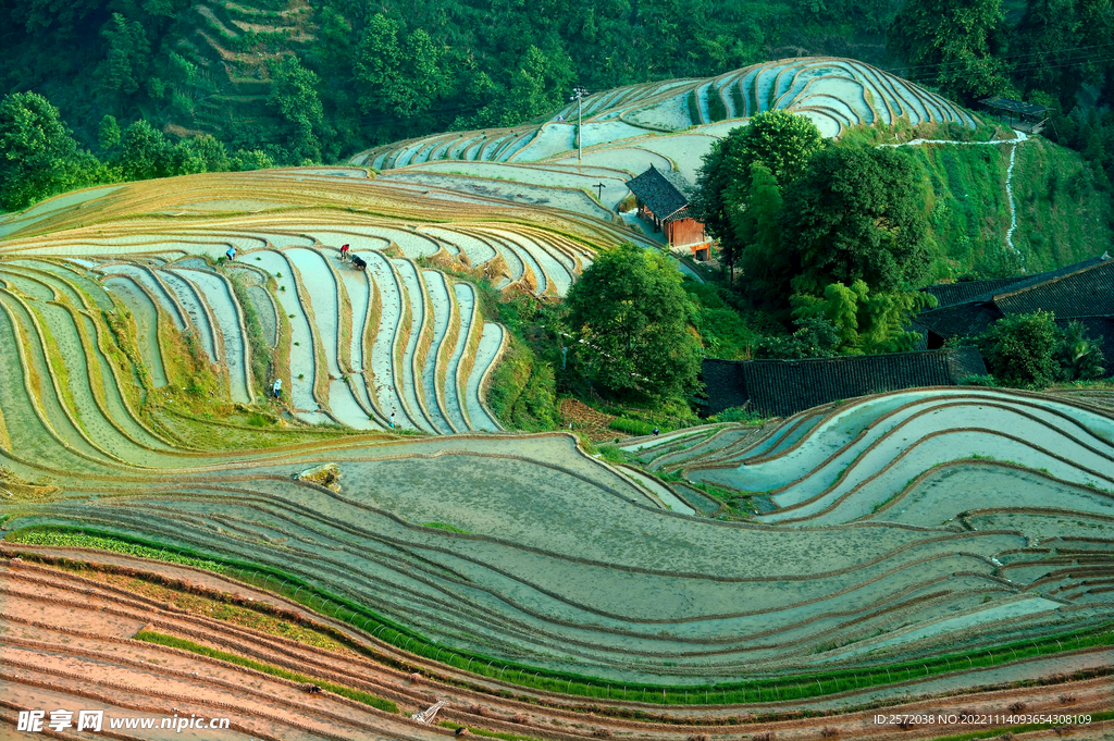 龙胜龙脊梯田风光