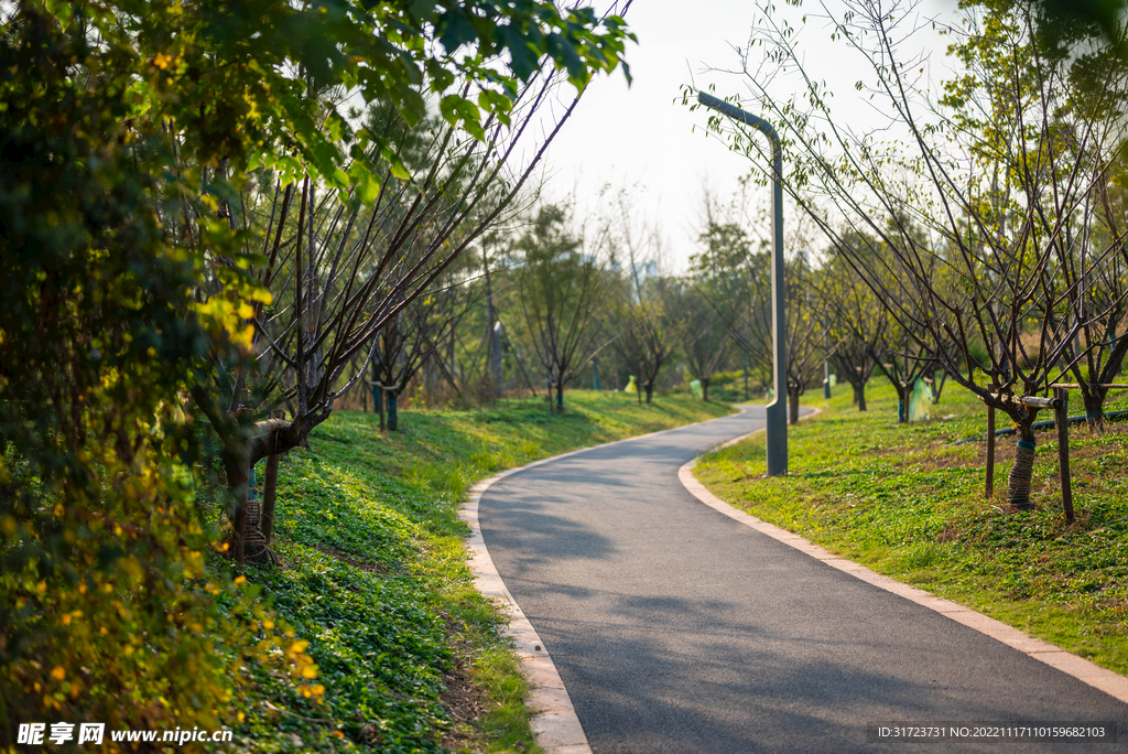 公园风景