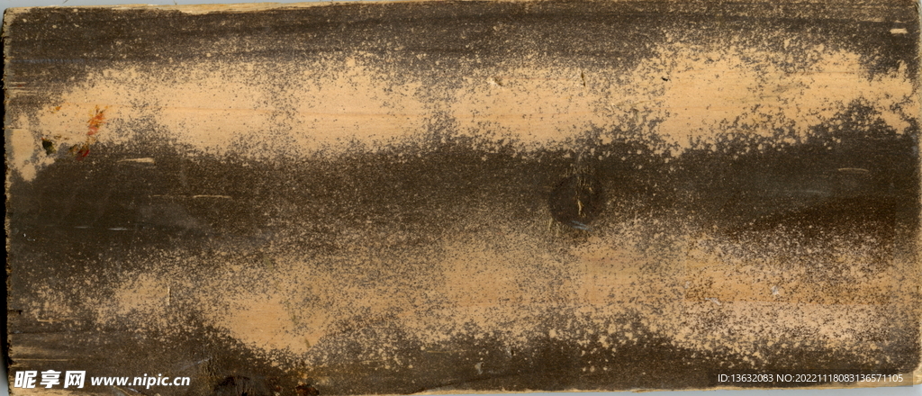 背景    肌理  底纹  木