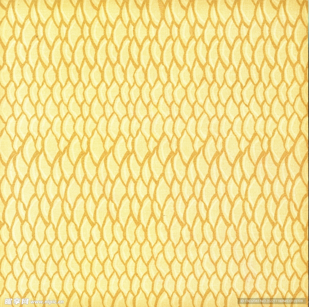 背景  格子  花纹  肌理 