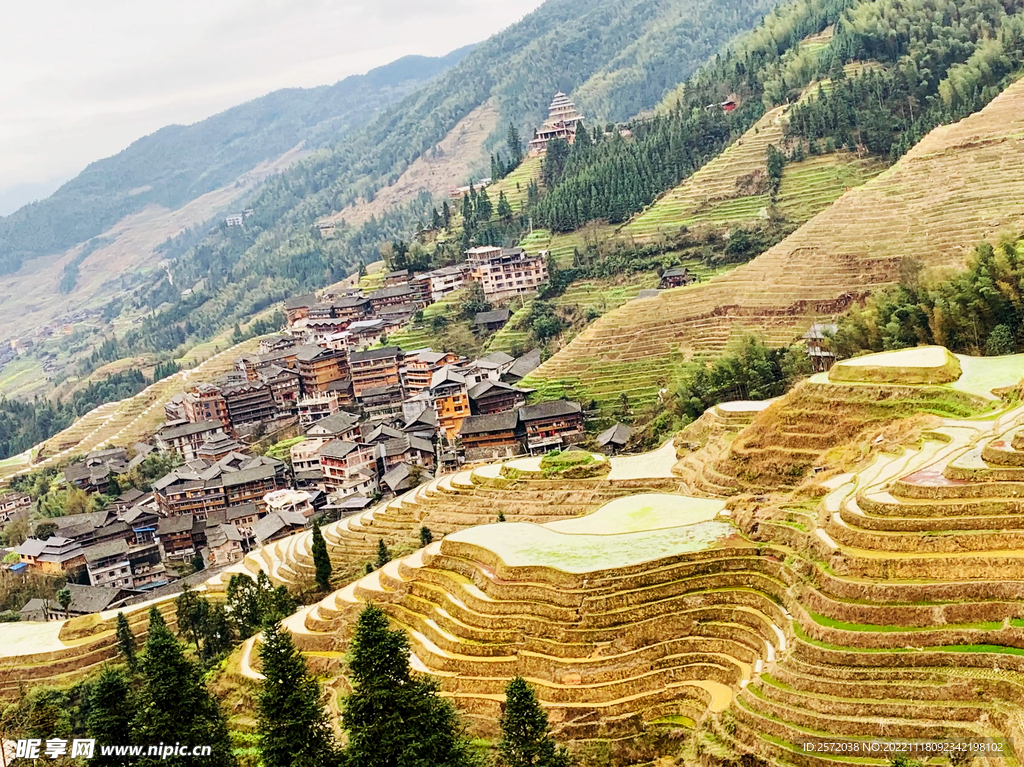 龙胜龙脊梯田风光