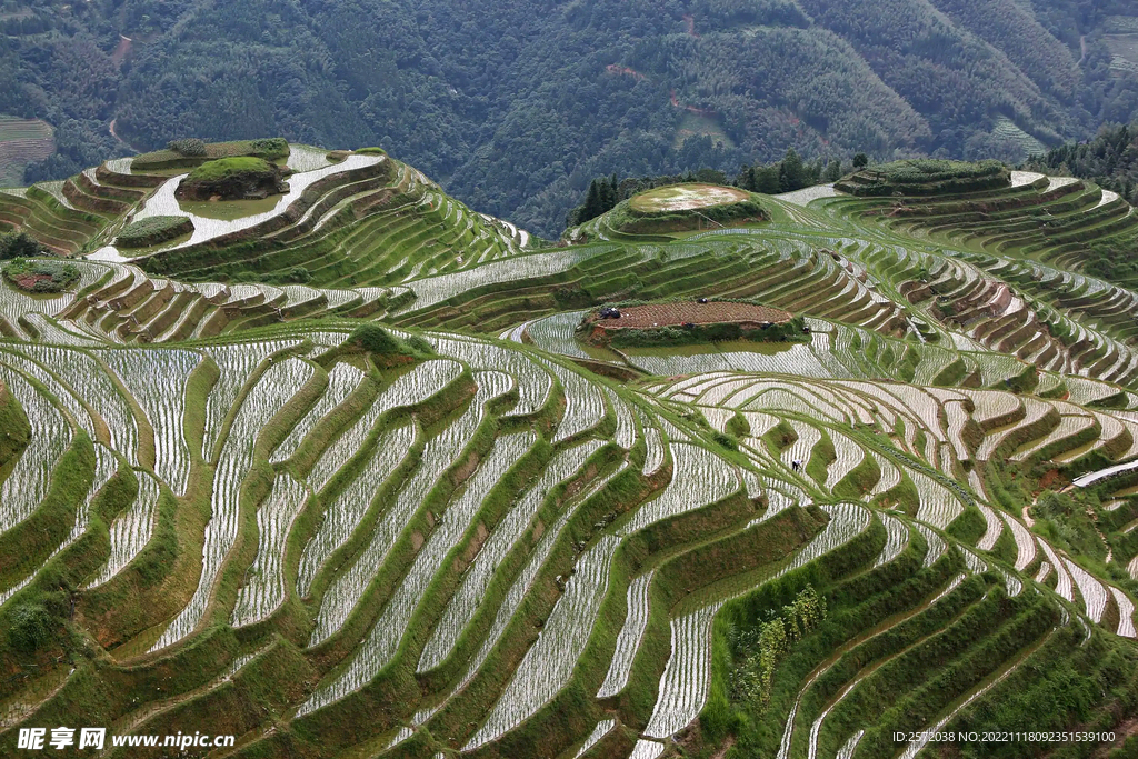 龙胜龙脊梯田风光