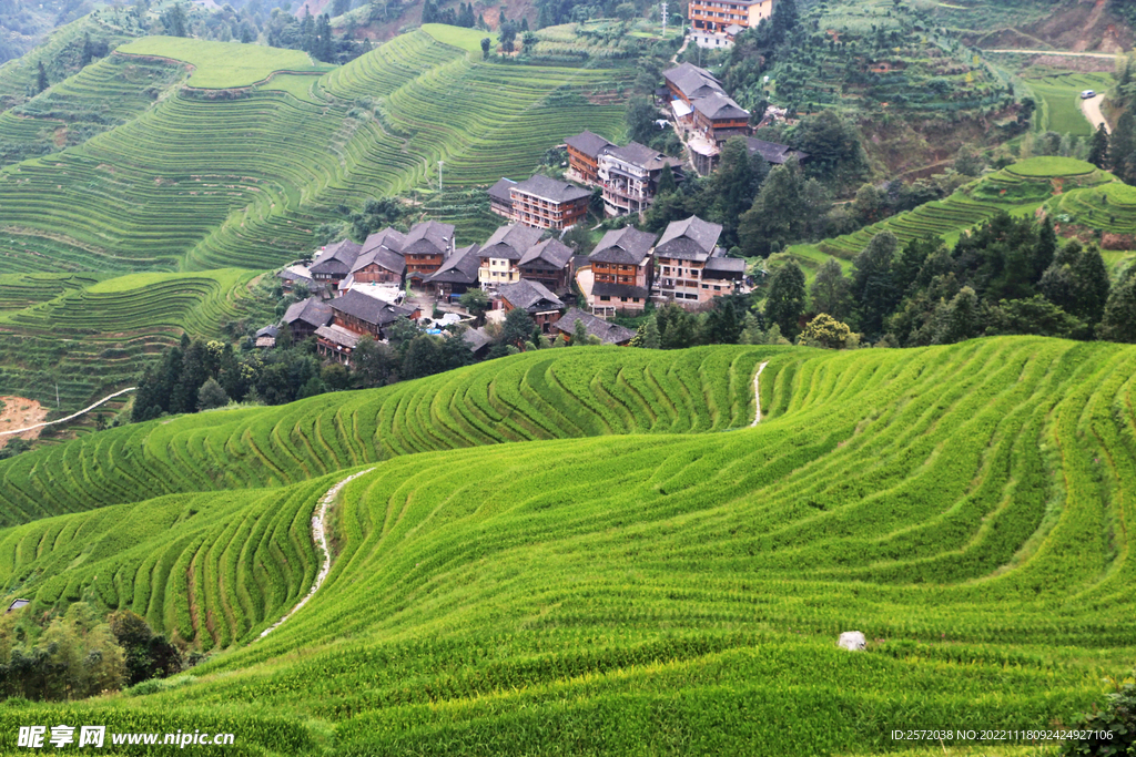 龙胜龙脊梯田风光