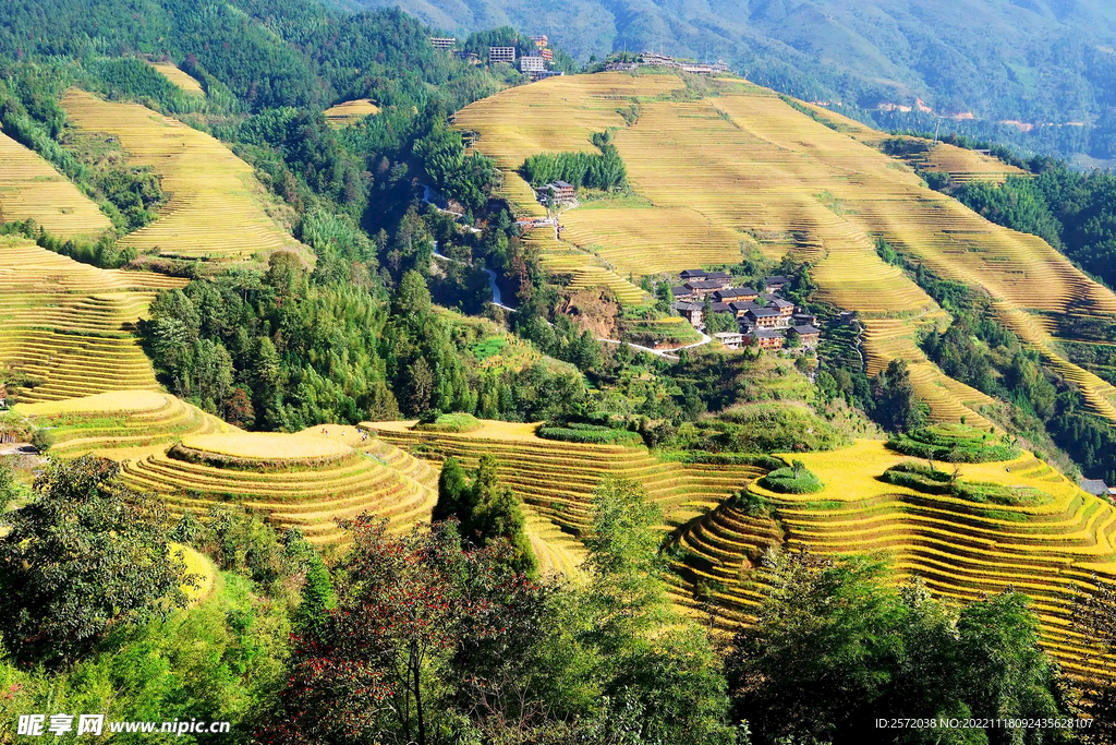 龙胜龙脊梯田风光