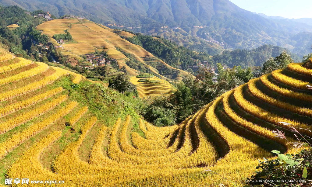 龙胜龙脊梯田风光