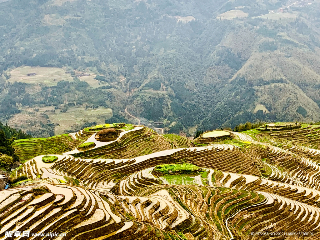 龙胜龙脊梯田风光