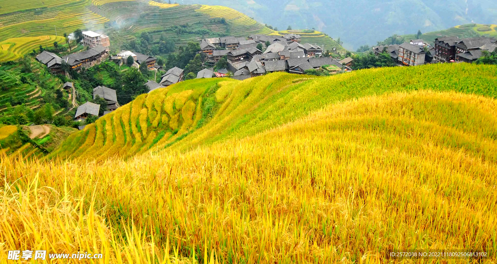 龙胜龙脊梯田风光