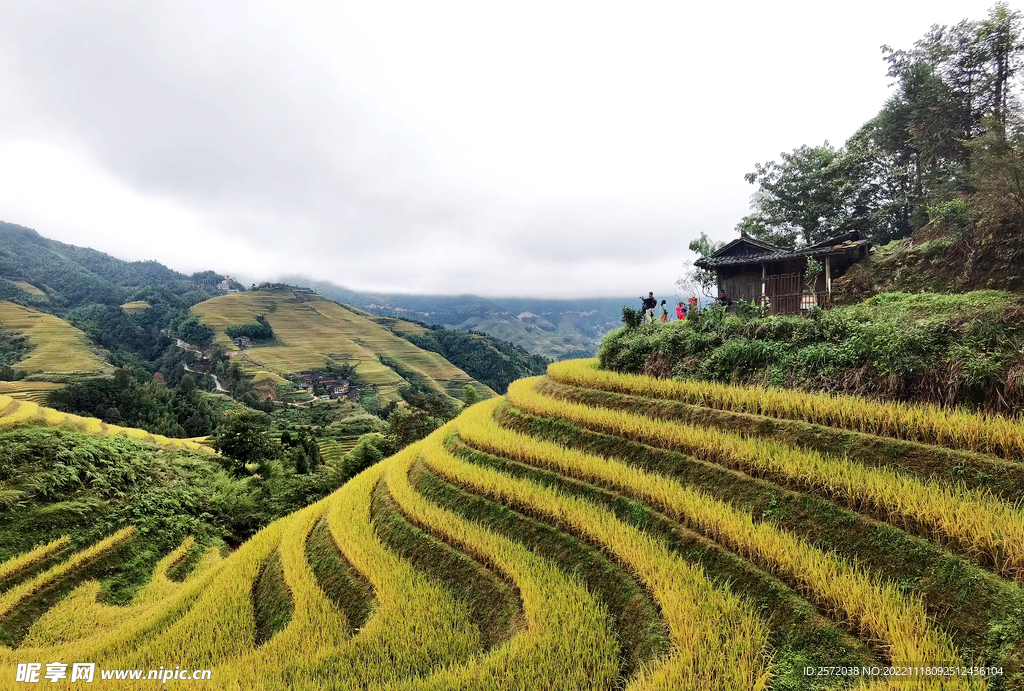 龙胜龙脊梯田风光
