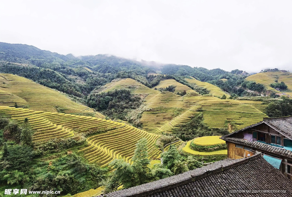 龙胜龙脊梯田风光