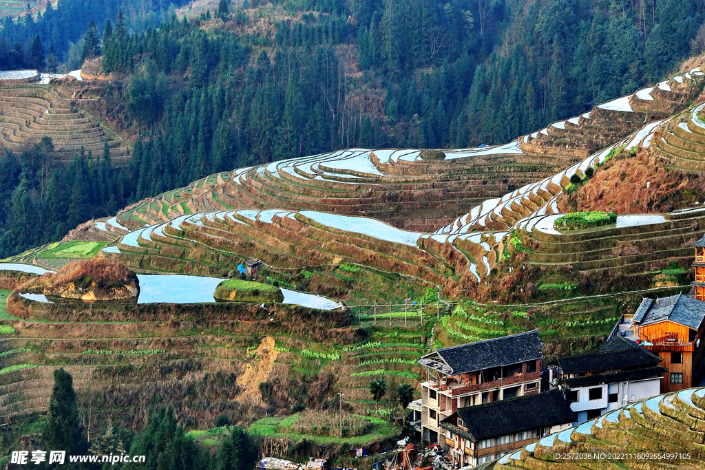 龙胜龙脊梯田风光