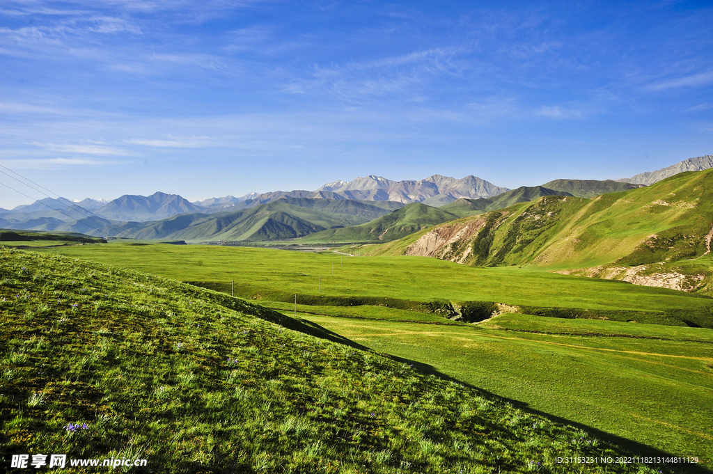 青海祁连高原风光